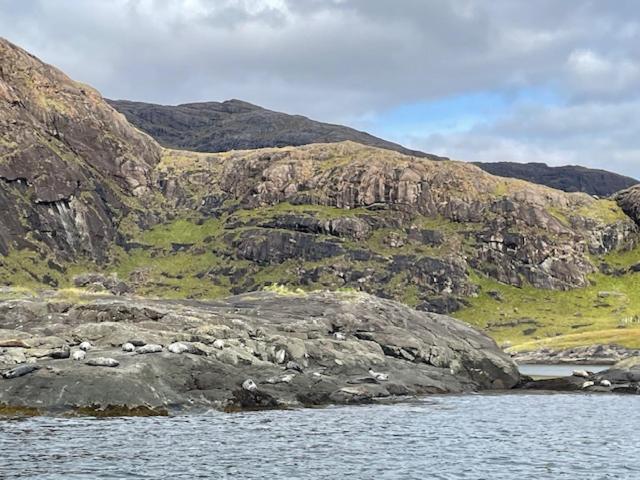 Waterfall View Milovaig Eksteriør bilde